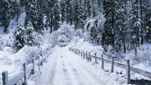winter-snow-nature-animated-gif-9